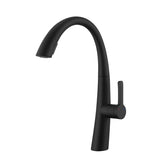 Stainless Steel Pull Out Kitchen Faucet W1217125154