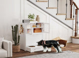 Dog Feeding Station 51792078