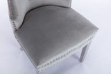 Simba Stainless Steel 2 Piece Chair Finish with Velvet Fabric in Light Gray 808857961150