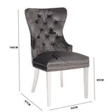 Erica 2 Piece Stainless Steel Legs Chair Finish with Velvet Fabric in Dark Gray 808857803009
