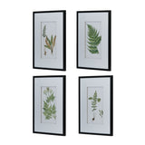Set of 4 Botanical Black And White Fern Wall Art , Wall Decor for Living Room Dining Room Entryway, W2078130254