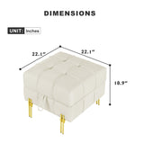 22 inches Anti-scratch Leather Storage Ottoman, Pet Friendly Entryway Bench with Golden Stainless W1191P196357