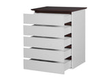 5 Drawer for Bedroom, Modern Closets Chest of Drawers, White & Walnut color Storage W409134195