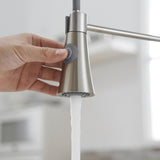 Commercial Brushed Nickel Kitchen Faucet with Pull out Sprayer, Single Handle Single Lever Kitchen W1932P288182