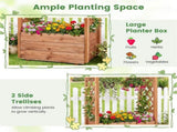 Natural Pine Wood Raised Garden Bed with Trellis & Hanging Roof, Elevated Wooden Planter Box with 62186901