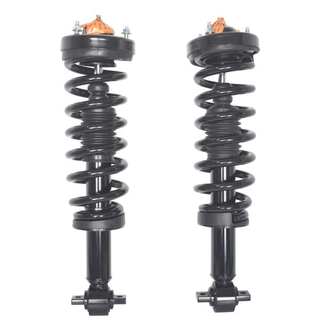 ZUN 2 PCS COMPLETE STRUT 2015 - 2017 FORD-F-150 12560349