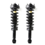 ZUN 2 PCS Shock Strut Spring Assembly 2009-2013 FORD-F-150 73816998