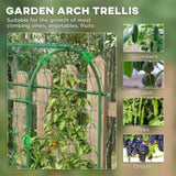 17" x 72" x 72" Outdoor Metal Garden Trellis with Climbing Net 32453469