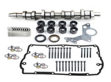 Camshaft Lifter Kit for 04-06 VW Golf Jetta New Beetle MK4 1.9 Diesel 038109101R 76332124