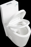 One-Piece Toilet, 1.1/1.60 GPF Water-Efficient Dual-Flush Elongated Comfort Height Floor Mounted, W1573P201343