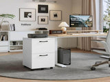 2-Drawer Rolling File Cabinet with Lockable Wheels, Printer Stand with Storage for Home Office 32879050