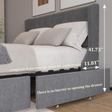 Queen Size Bed Frame with 4 Storage Drawers and Wingback Headboard, Button Tufted Design, Dark Grey W1303P227900