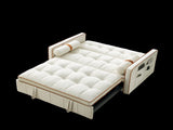 Modern 55.5" Pull Out Sleep Sofa Bed 2 Seater Loveseats Sofa Couch with side pockets, Adjsutable W119368699