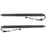 Set of 2 Rear Power Tailgate for Hyundai Palisade 3.8L V6 GAS DOHC 2020-2022 81831-S8100 81841-S8100 50496657