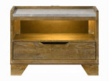 Transitional Brown Finish Nightstand With LED Light USB Ports Wooden Bedroom Furniture 1pc Bedside B2741P411507