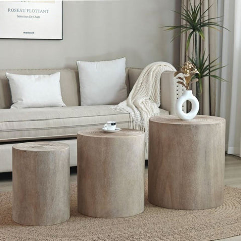 ZUN Set of 3 Nautral Wood Coffee Table with clear and visible tree rings W2729P199132