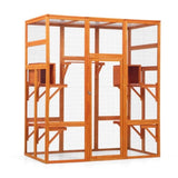 Large Cat Enclosure with 5 Perches, 2 Condos and 1 Lockable Door, Orange W2181P160607