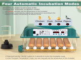 36 Eggs Incubators for Hatching Eggs,Egg Incubator 4 Automatic Incubate Mode,Chicken Incubator 78094403