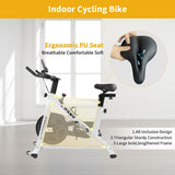 Stationary Bikes Home Spin Indoor Exercise Bike with LCD Monitor and Comfortable Seat Cushion T3060P290747