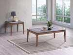 ZUN ACME Bevis Coffee Table, Engineered Stone & Walnut Finish LV02645