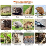 Humane Animal Trap Cage - Galvanized Sturdy Wire Mesh, Sensitive Trigger & 96020110