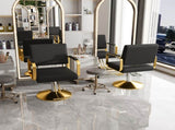 Hydraulic Salon - 360&deg Swivel Barber Stylist with Pump, Non-Tilting Hairdressing 12084379