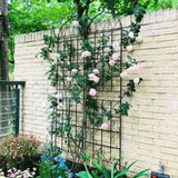 2 Pack Metal Garden Trellis 86.7" x 19.7" Rustproof Trellis for Climbing Plants Outdoor Flower W158681071