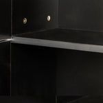 ZUN Freestanding Cabinet with Inadjustable Shelves and two Doors for Kitchen, Dining Room,black W33165048