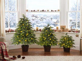 2FT, 3FT, 4FT, 3-Piece Pre-Lit Christmas Tree Set with Warm Glowing Lights, Sturdy Potted Base, and N710P523032F