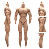 1/6 Scale BD003 Muscular Male Action Figure Body fit for Soldier Head 07542677