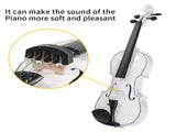 Full Size 4/4 Violin Set for Adults Beginners Students with Hard Case,Violin 67556095