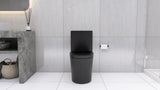 Matte Black Elongated One Piece Toilet Dual Flush 1.1/1.6 GPF Water Saving Map 1000g,Matte Black W2826P192009