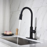 Single Handle Pull Down Kitchen Faucet with Dual Function Sprayhead 14563295