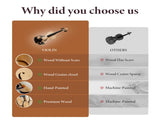 Professional 4/4 Full-Size Violin - Premium Sound, Durable & Lightweight Design with Complete 03412021