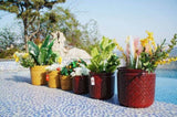 Handmade Ceramic Planter Set of 3, 15/12/9 Inch Diameter, Earth-Tone Speckled Glaze, for Orchids & W3273P321469