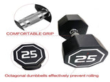 25LBS APOLLO IR3920 Premium Octagonal Dumbbell, Large Numbers, Hard Chrome Plated Handle Dumbbells 09618855