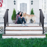 Matte Black Outdoor 2-Step Iron Handrail 50228565
