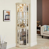 Corner Glass Cabinet Lighted Curio Cabinet Corner Display Case for Living Room, Curio Cabinet, W2275P194429