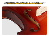 4/4 Full Size Violin for Beginners, Laminated Spruce & Maple Wood, Natural Red Varnish Finish, 04411117