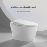 Smart Toilets with Heated Bidet Seat.Portable toilet with bidet built.Intelligent Toilet Auto W3133P280850