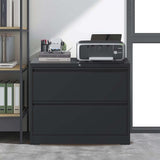 ZUN Lateral File Cabinet 2 Drawer, Black Filing Cabinet with Lock, Lockable File Cabinet for Home 56306792