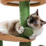 ZUN Cactus Cat Tree Cat Tower with Warmy Condo, Plush Perches, Sisal Scratching Post and Fluffy Balls 97073678