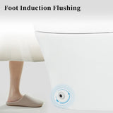 Smart toilet with Built-in Seat, One Piece Elongated Modern Toilet with Adjustable Temp N753P222587W