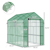 Mini Walk-in Greenhouse 98301106