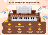 25 Keys Mini Digital Piano for Kids Age 3, Lighted Teaching Mode with 6 Tones & 15 Demo Songs-Brown 73025017