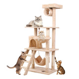 Cat Climbing Frame W1303127837