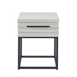 Celestial Contemporary Storage End table, White T2574P163352