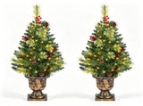 Set of 2 Small 3 Foot Cashmere Pine Christmas Tree in Cement Pot, Pre-lit 40 Warm White LEDs, 100 16975532