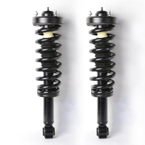 ZUN 2 PCS Shock Strut Spring Assembly 2009-2013 FORD-F-150 74391789