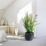 3 Pieces Ceramic Flowerpot, Modern Planter for Patio, Garden or Windowsills - Antique Gray W3273P321502